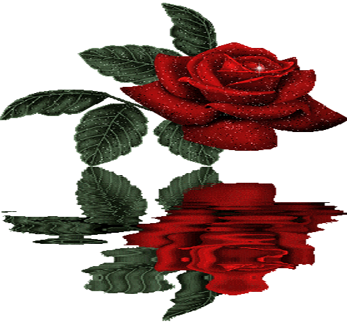 LA ROSE ROUGE